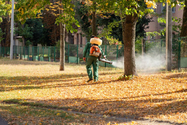Best Commercial Pest Control Services  in Remerton, GA