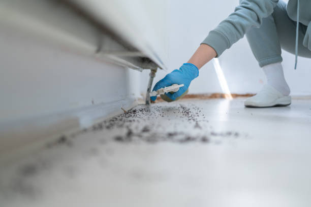 Best Wasp Removal Services  in Remerton, GA